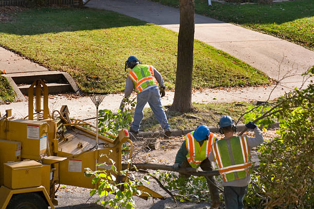 Lawn Watering Services in Old Miakka, FL